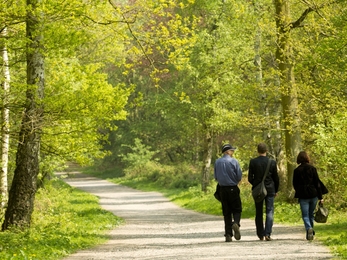 Walking in nature is good for your health, image Ben Hall/2020VISION