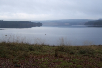 Kielder Water and Forest
