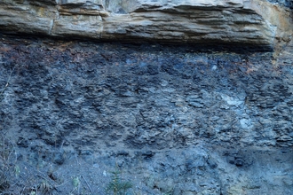 Rock of the month - Mudstone