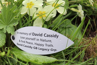 David Cassidy Giving Tree leaf. Image by Fiona Dryden.
