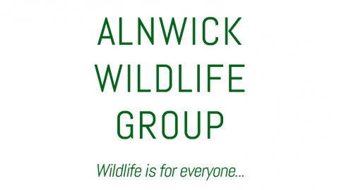 Alnwick Wildlife local group