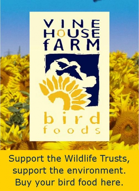 Vine House Farm Wildlife Trust web insert