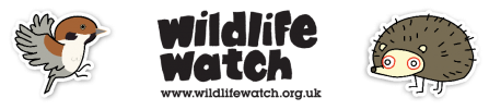 Wildlife Watch banner