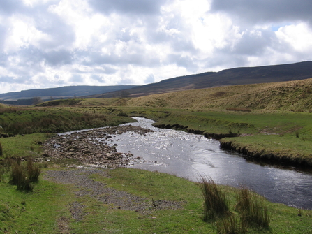 River Rede at Whitelee Moor - Duncan Hutt