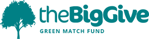The Big Give Green Match logo web small