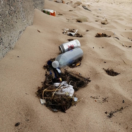Beach litter - Katarina Martin