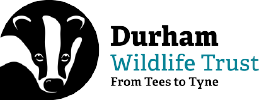 Durham Wildlife Trust logo web small