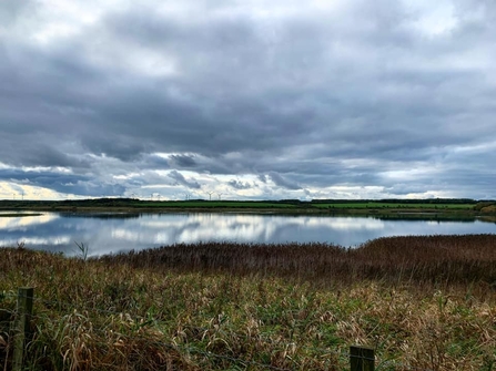 East Chevington nature reserve.  Image by Sophie Webster.
