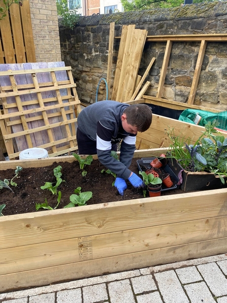 Image of a young person adding plants to a large wooden raised flower bed.