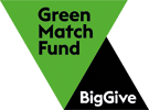 Big Give Green logo web small
