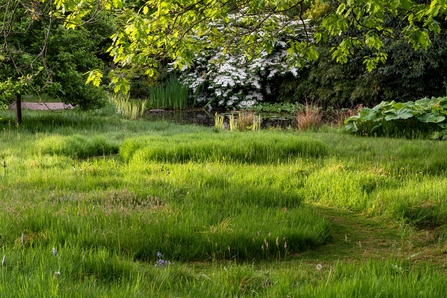Lawns to Life. Image by Julian Weigall @ RHS.