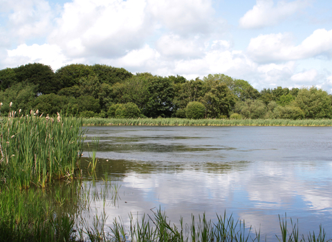 Holywell Pond panormaic - Steven Playle