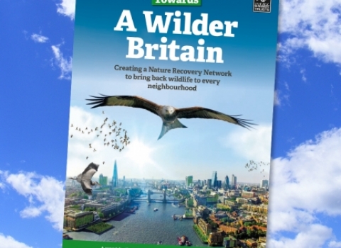 Towards a wildlife britain cover