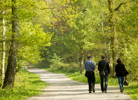 Walking in woodland - BenHall/2020VISION