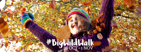 Big Wild Walk Web banner
