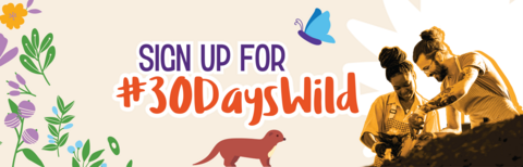 Sign Up For 30 Days Wild