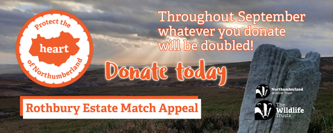 Rothbury September 2025 Estate Match Appeal Header Banner