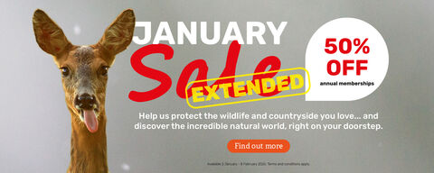 Promotional banner featuring a deer beside text announcing an extended January sale with 50% off annual memberships and a button to find out more.
