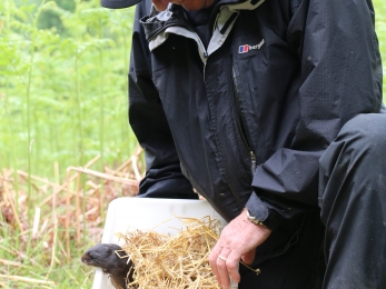 water vole release don learmouth - Katy Barke