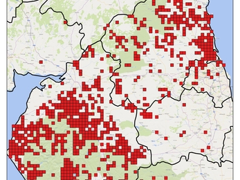 Red squirrel distribution 2019-2020