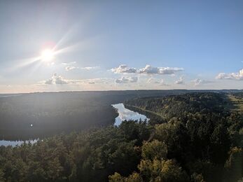 Nemunas Loops Regional Park (copyright Laura Hindle)
