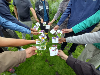 People standing in a circle outdoors hold small cards decorated with flowers and plant cuttings toward the centre.