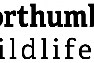 NWT logo