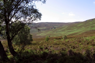 Harbottle Crags - Duncan Hutt