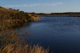 Holburn moss - Duncah Hutt