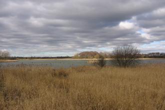 Holywell Pond - Duncan Hutt