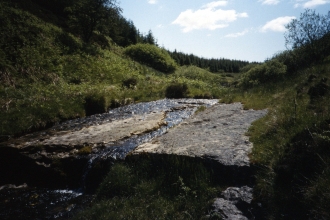 Mill burn - Duncan Hutt