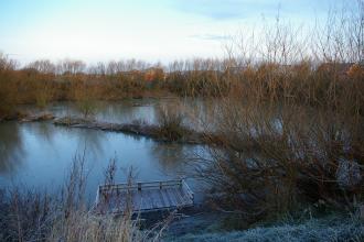 Newsham Pond