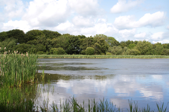 Holywell Pond panormaic - Steven Playle