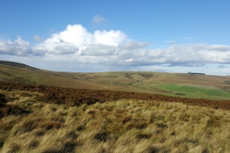 Whitelee Moor - Geoff Dobbins