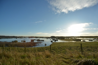 Druridge Pools - Steven Morris