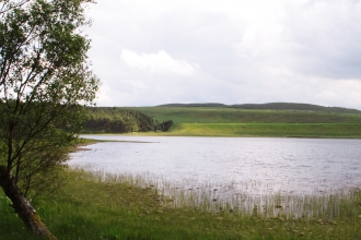 Greenlee Lough - Steven Playle