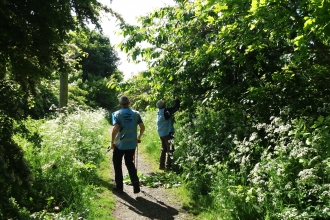 Path wardens - Laura Shearer