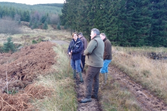 Water vole habitat search