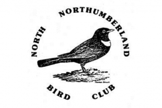 north northumberland bird club