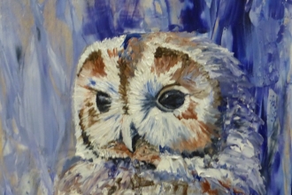 Diane Patterson -Night owl