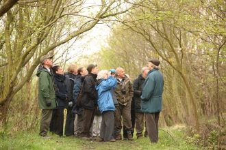 Dawn chorus walk