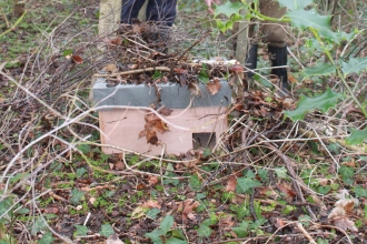 Bridges School hedgehog box