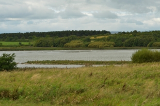 East Chevington Nature Reserve - Steven Morris