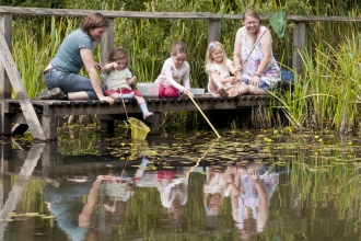 Pond dipping - Ross Hoddinott/2020VISION