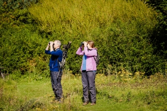 Bird watching at Hauxley - Simon Greener