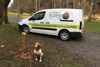 Ratty van - Joel Ireland