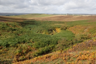 Benshaw Moor - Duncan Hutt