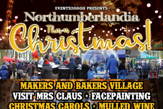 Northumberlandia xmas market 2019