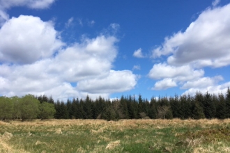 Lower Scaup pond - Kelly Hollings