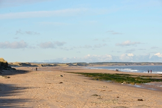 A photograph of Cresswell Foreshore, a sandy beach with sand dunes in the distance and clear blue waters, with waves crashing on the beach and figures walking. 